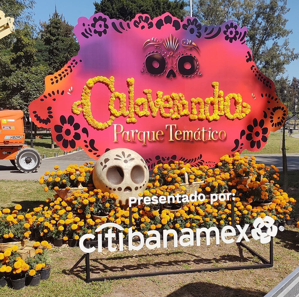 IMG_20221027_120408382